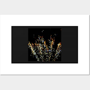 Firework No.71 Posters and Art